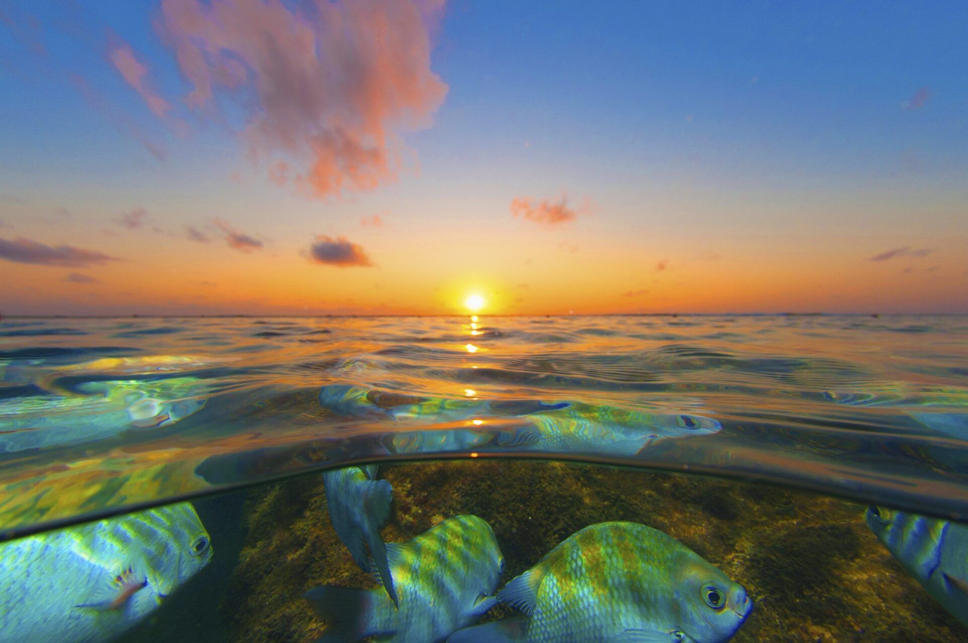 Porto de Galinhas - Ecocharme
