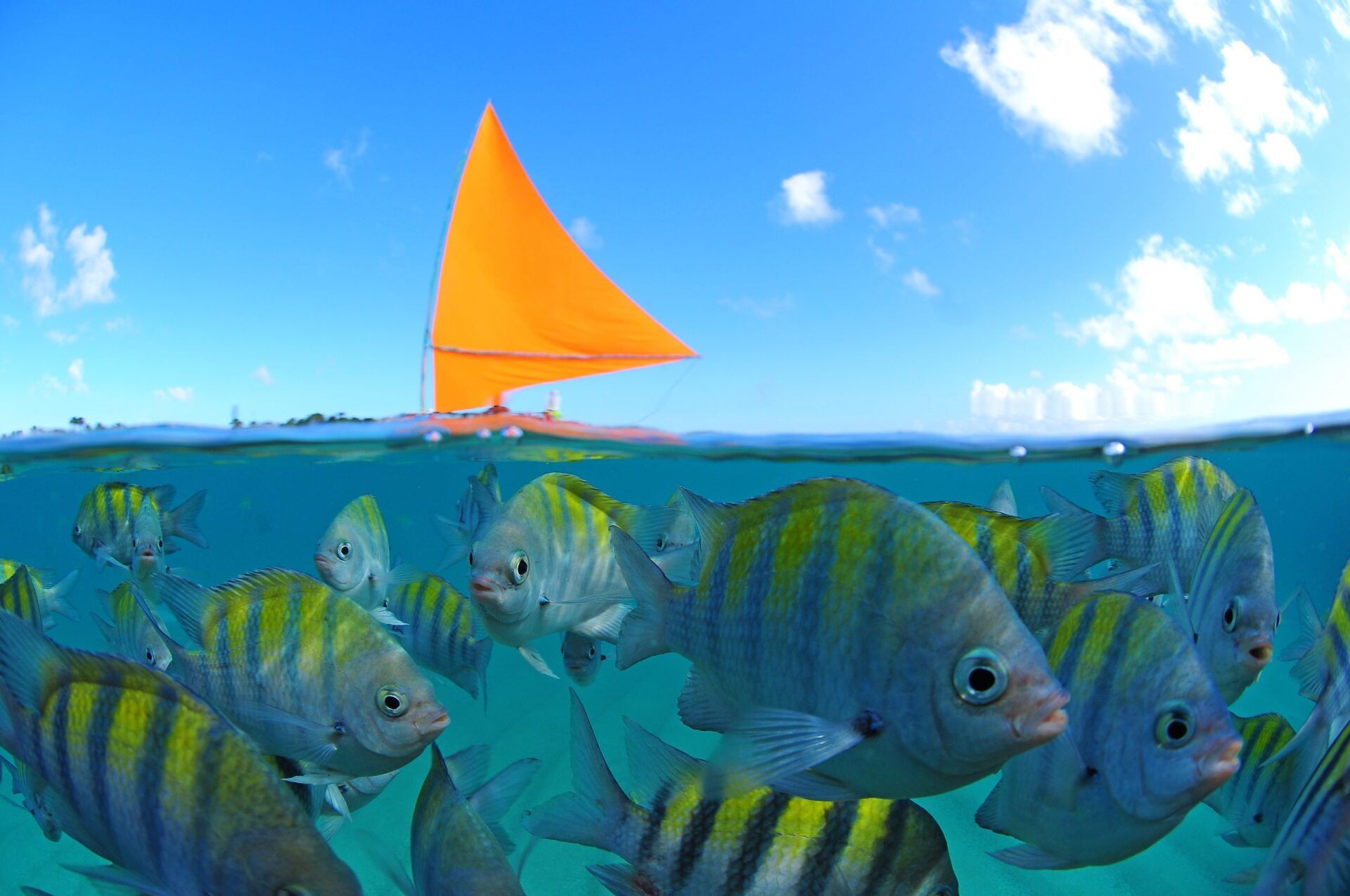 Porto de Galinhas - Ecocharme