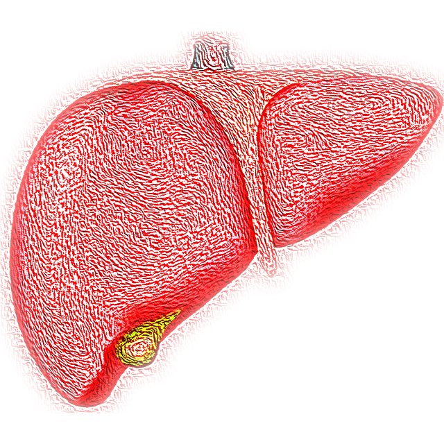 What is Fatty Liver Disease?