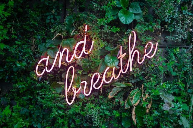 Recharging Your Batteries