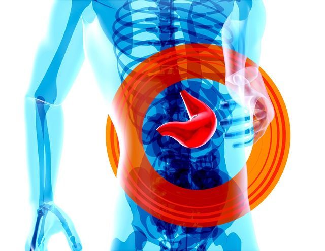 Fixing the Gut Microbiome