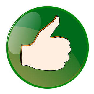 Review Natures Divine Healing good Review