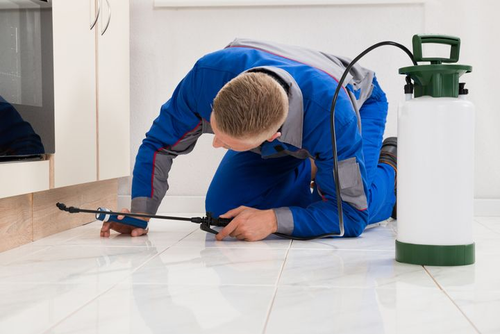 pest control