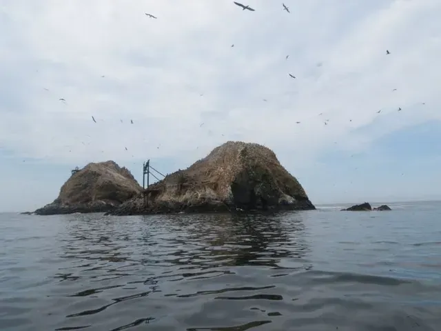 Pequeña isla rocosa en aguas grises y tranquilas bajo un cielo nublado, con pájaros volando por encima.