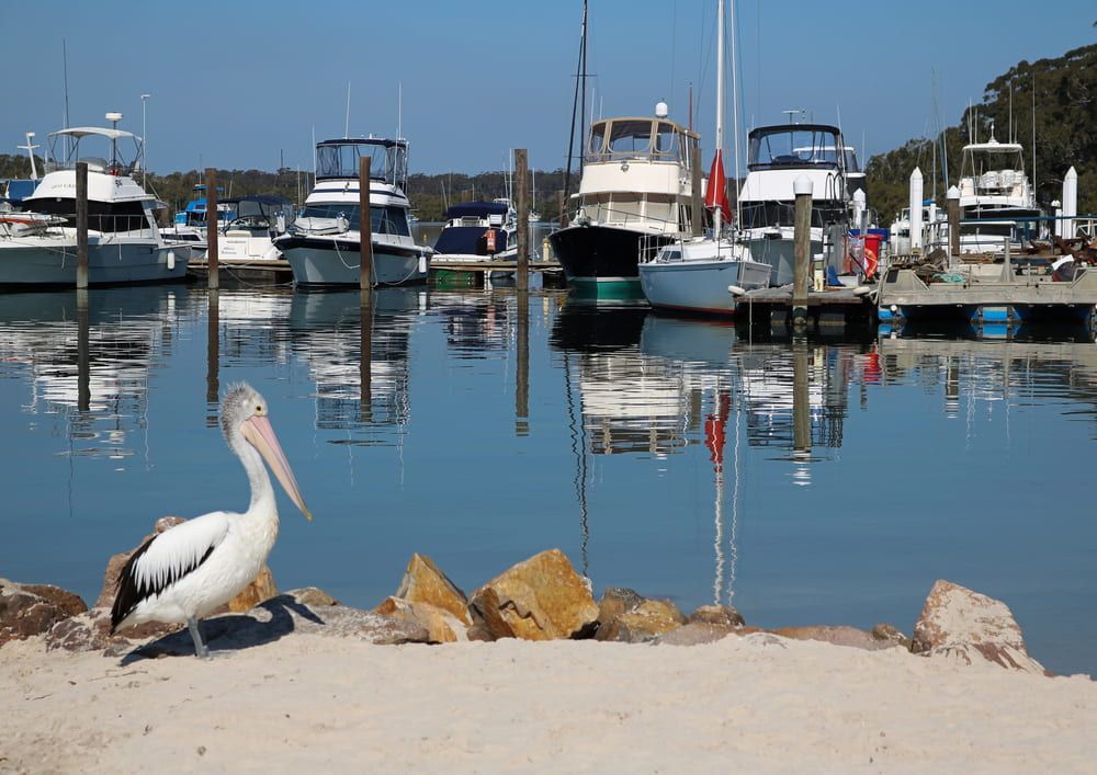Pelican on Sandy Shore, Harbor With Boats — Coast 2 Coast Locksmiths in Pelican Waters, QLD