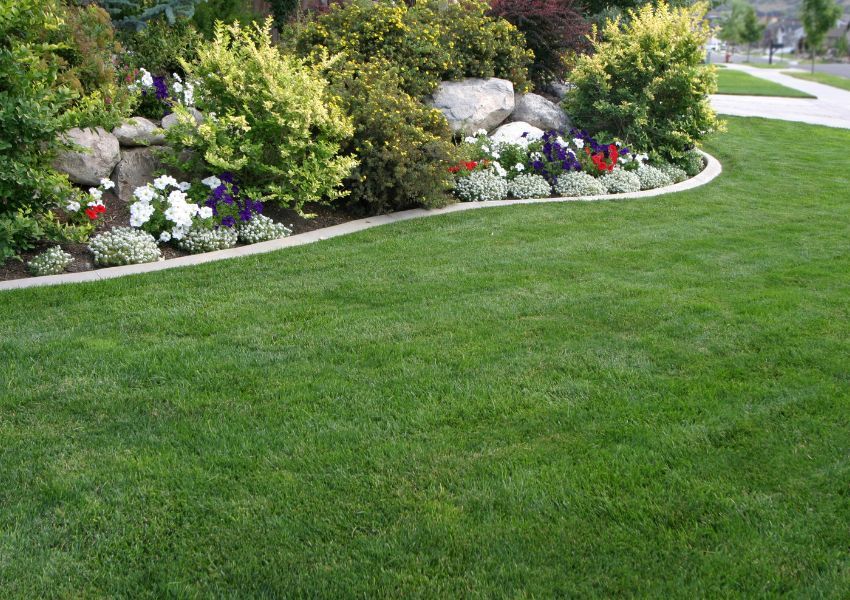 updated-curb-appeal