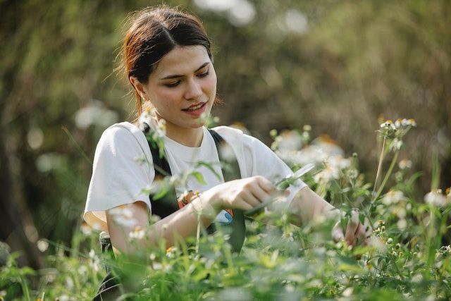 Person in white tee cutting sprigs of flowers with scissors