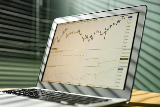 graph on laptop