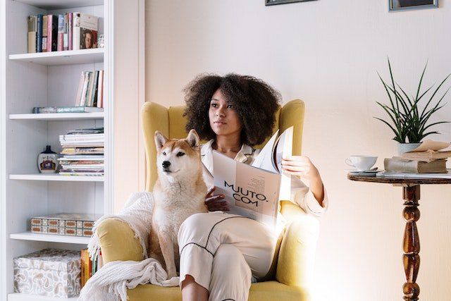 pet friendly homes available for rent in chicago