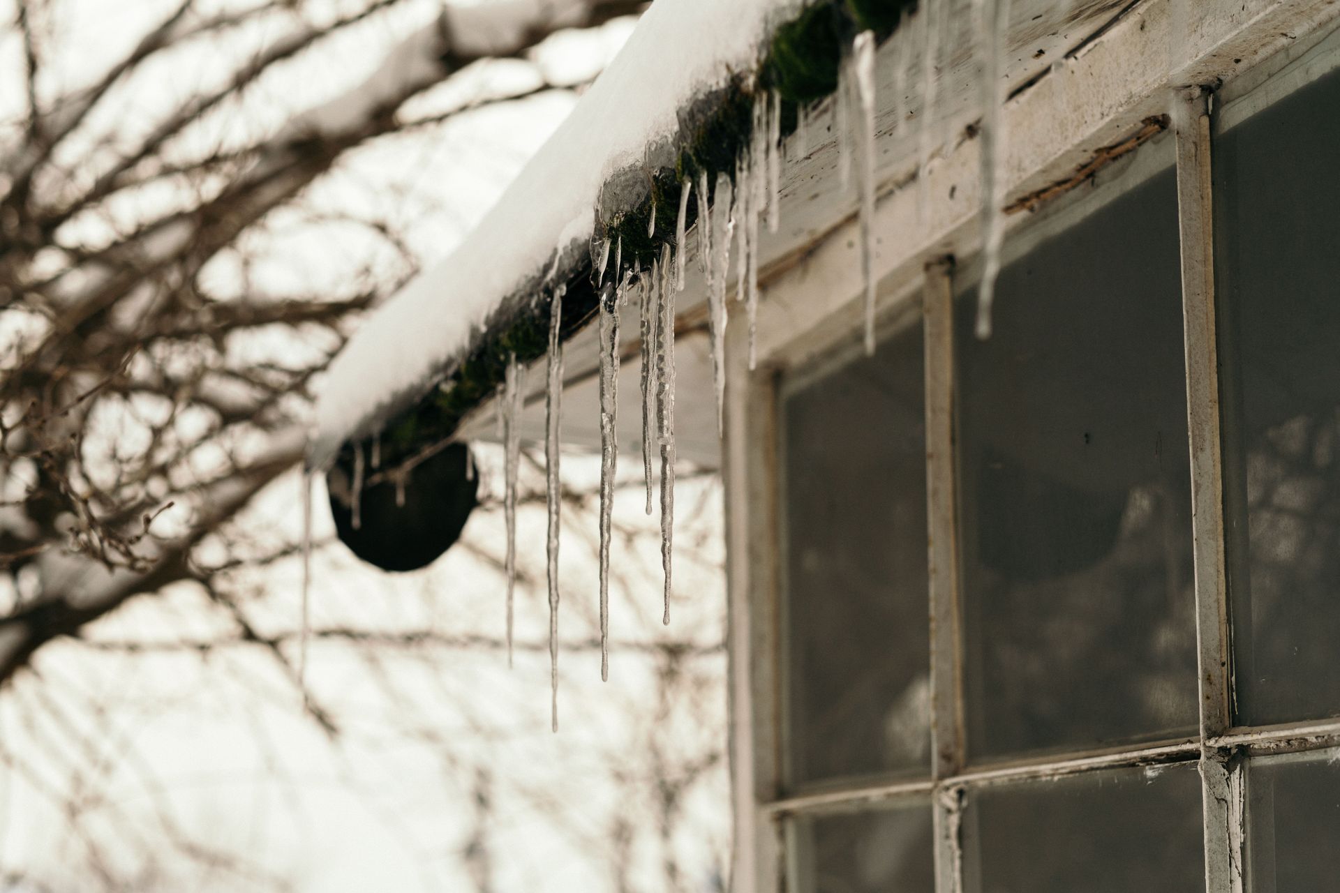 icicles hanging from a snow-covered rooftop