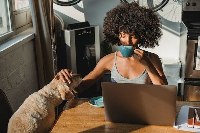 Person sitting at a table on their computer, sipping a much and petting a dog