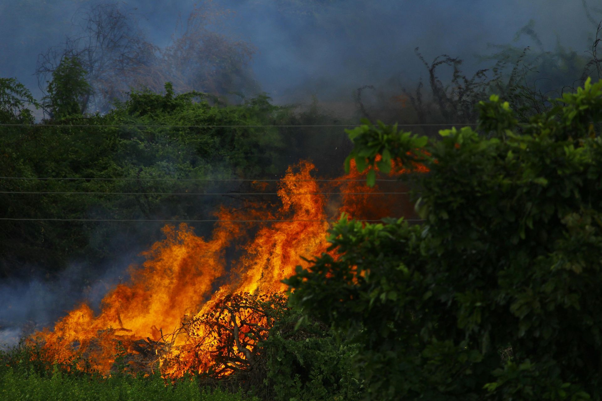 wildfire