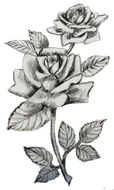 Roses — Adrian, MI — Adrian Monuments