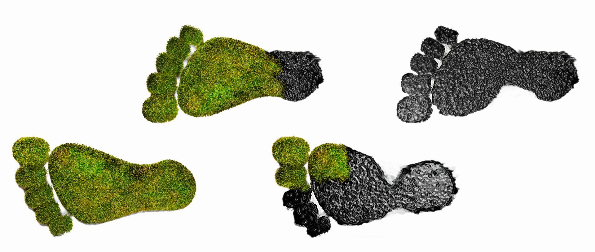 carbon footprint from oil to grass and clean
