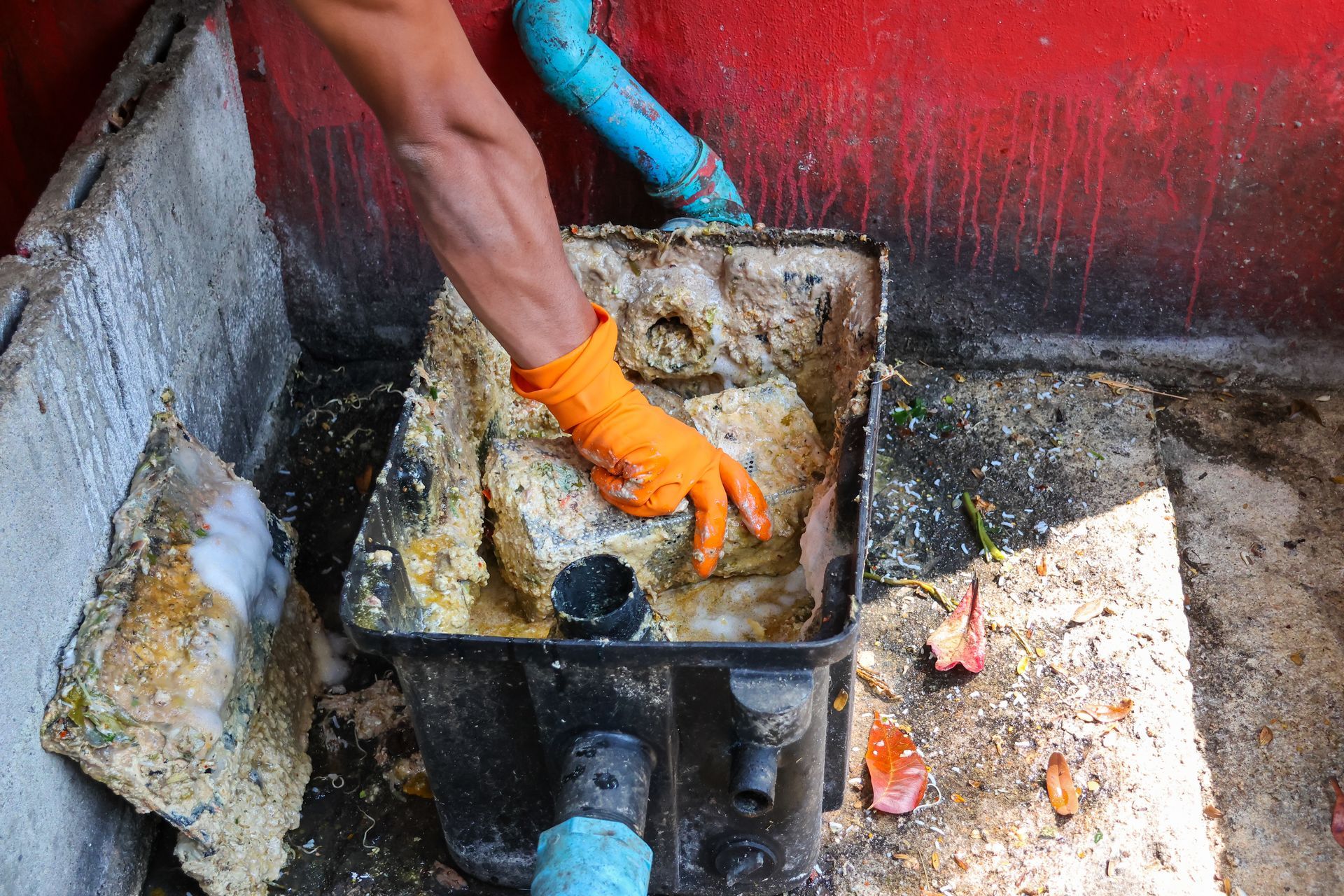 A person wearing an orange glove removes congealed grease and debris from a plastic grease trap in an outdoor area.