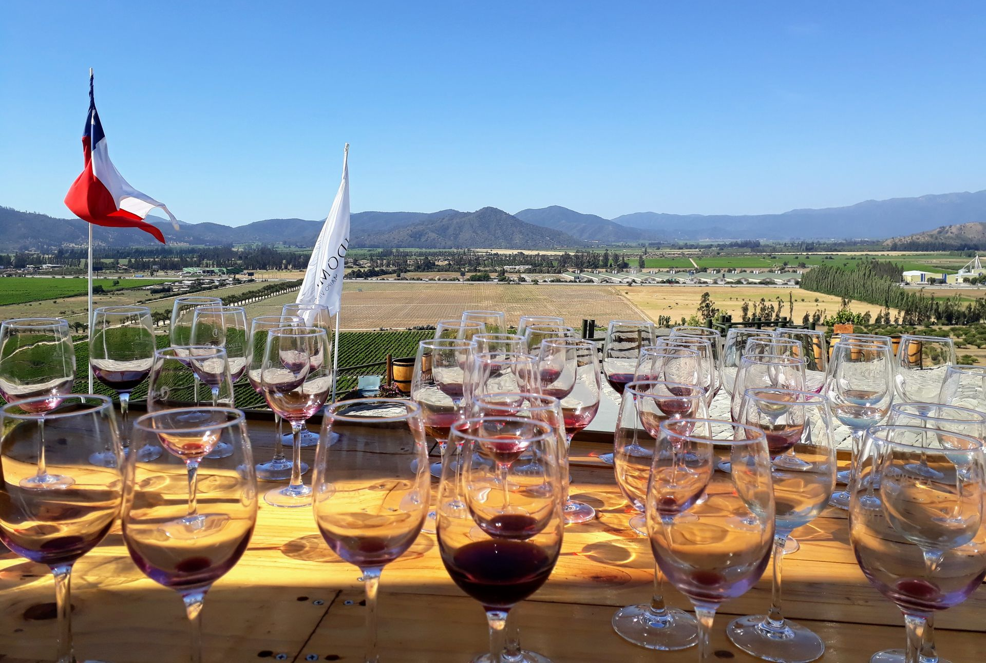 Wine tasting in the beutiful landscapes of Casablanca Valley.