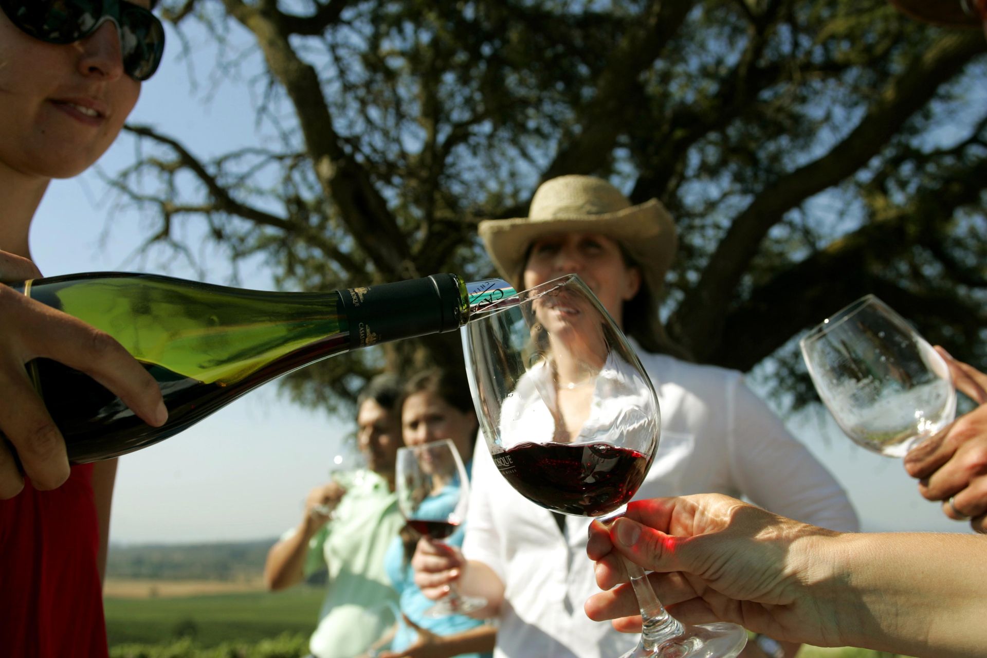 wine tasting in Casablanca valley