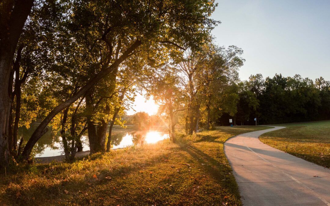 Sunlit park path curving beside trees and a river at sunset
