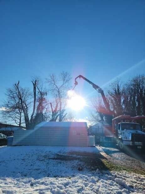 Tree Trimming Roanoke Va4 — Roanoke, VA — Jay's Tree Service
