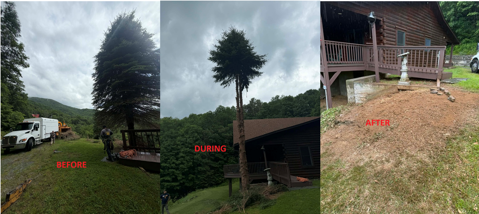before during and after photo of tree work Asheville NC Woodfin Weaverville Mars Hill Marshall NC