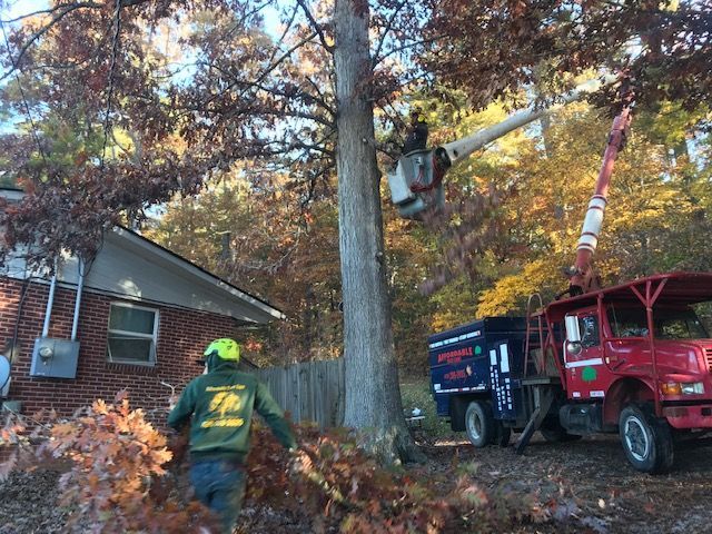 tree service company Asheville NC Woodfin Weaverville Mars Hill Marshall NC