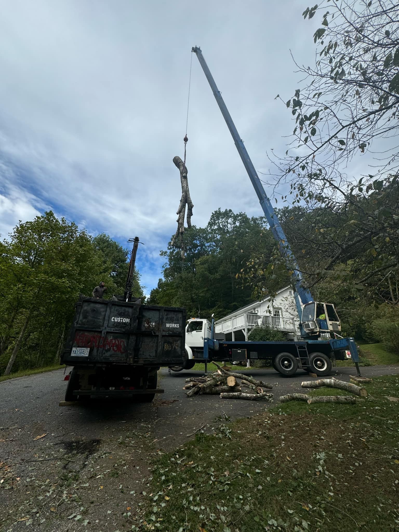 crane tree removal Asheville NC Woodfin Weaverville Mars Hill Marshall NC