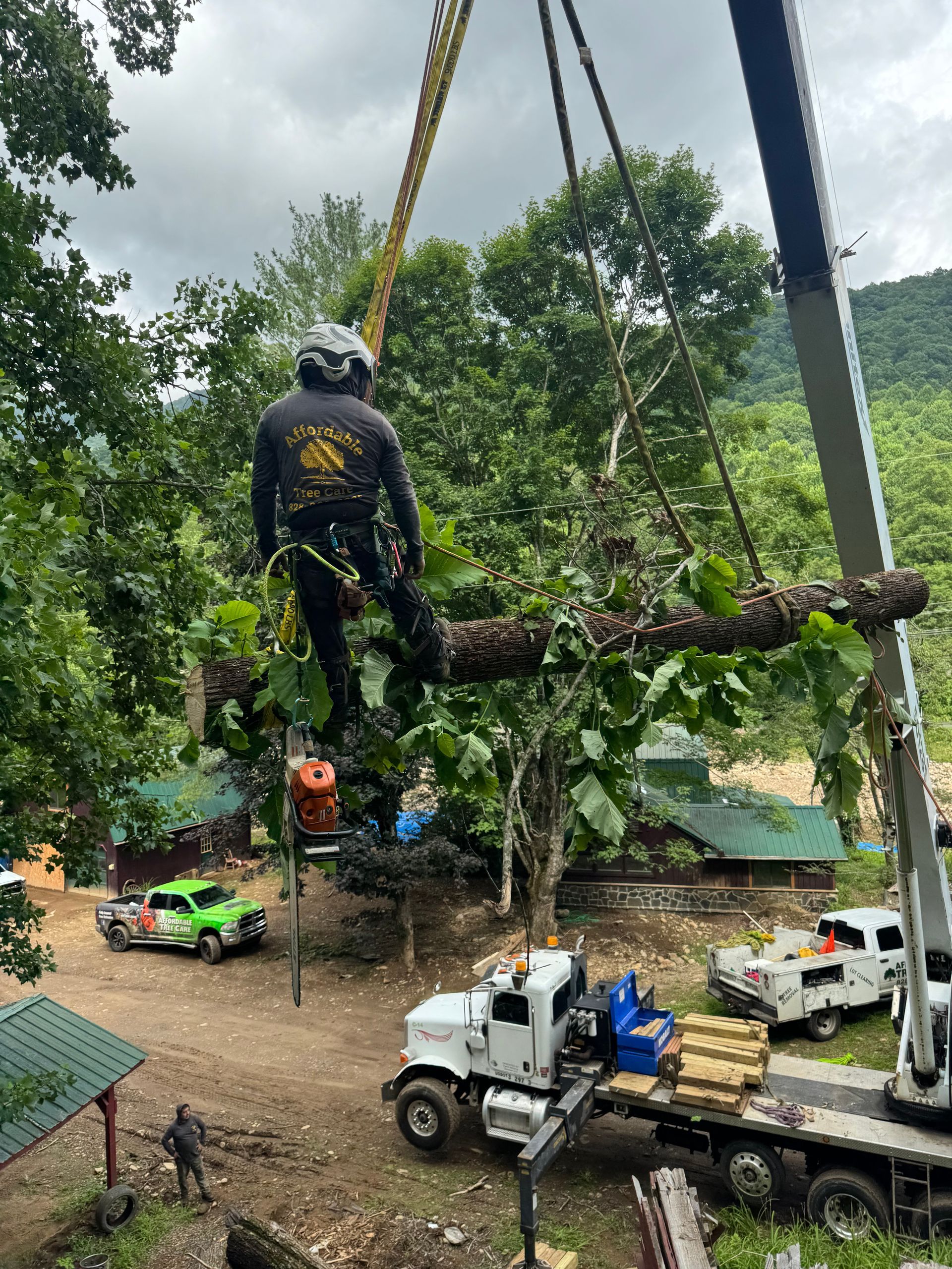 crane service for tree removal Asheville NC Woodfin Weaverville Mars Hill Marshall NC