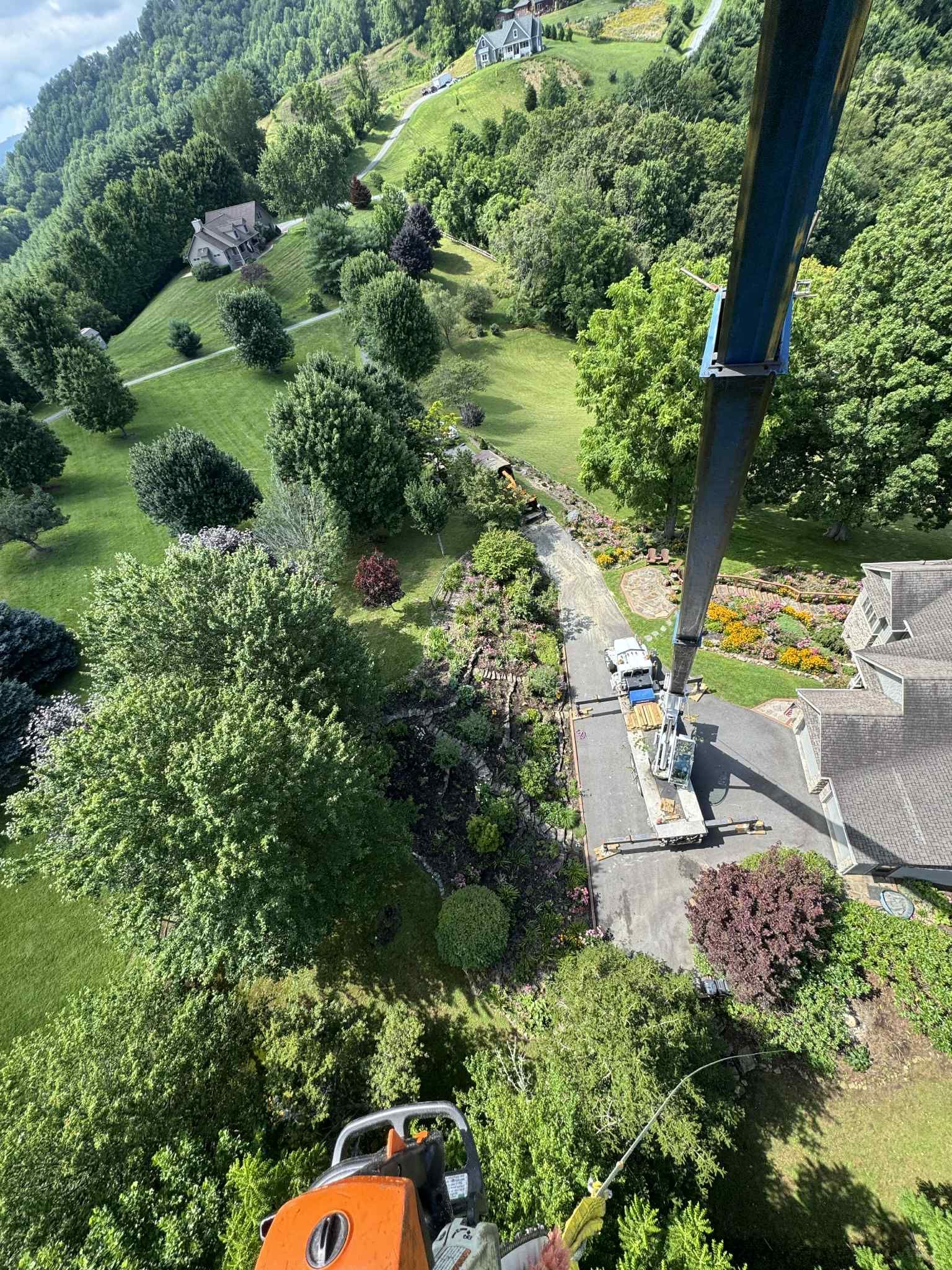 crane tree removal Asheville NC Woodfin Weaverville Mars Hill Marshall NC