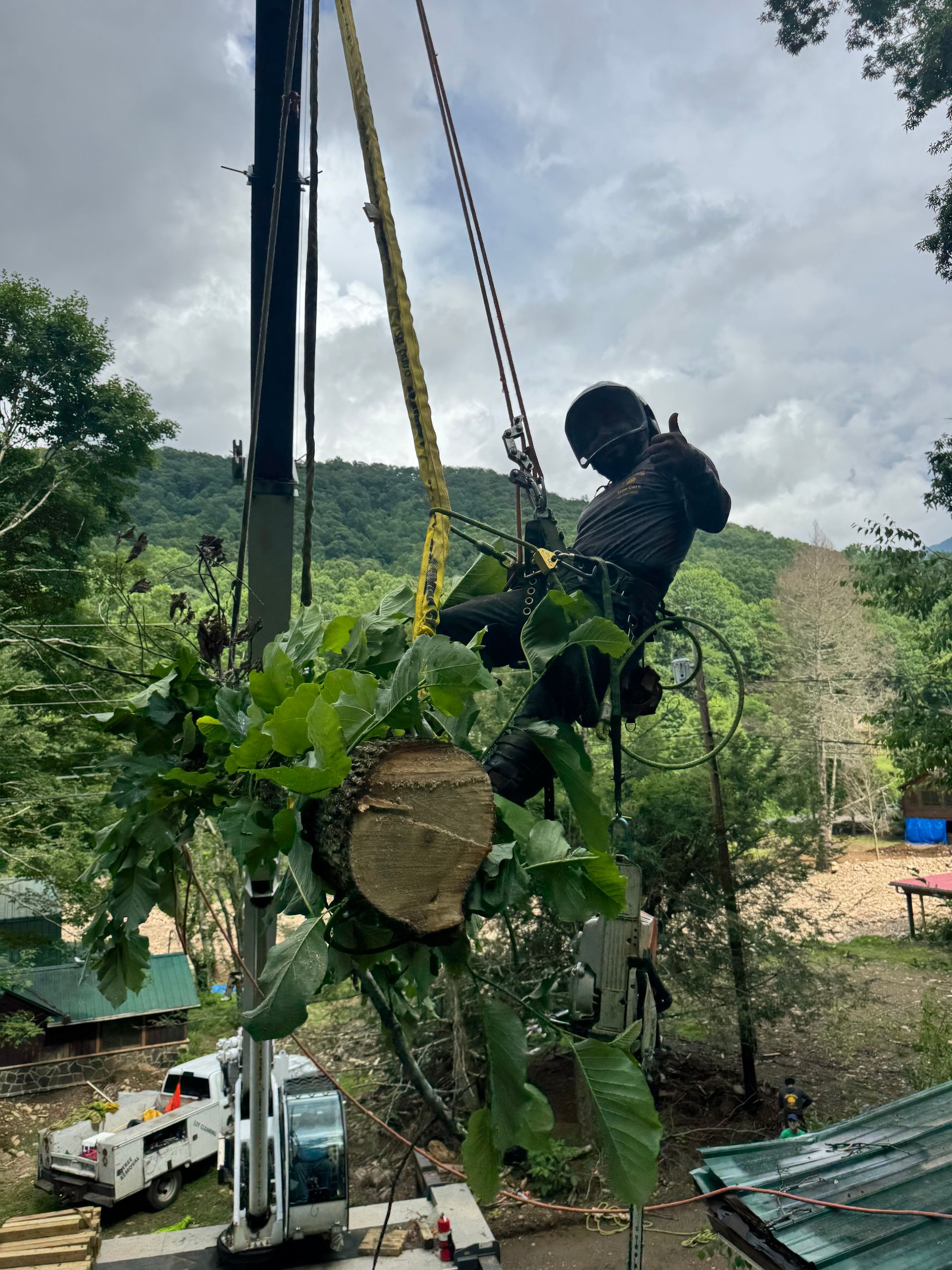 crane tree work Asheville NC Woodfin Weaverville Mars Hill Marshall NC