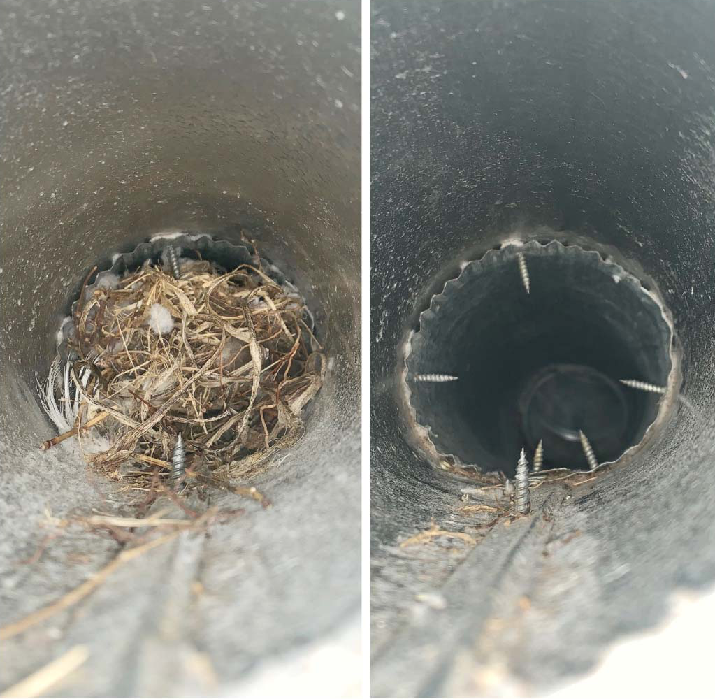 Air duct cleaning results from a HVAC system at a Long Island Home