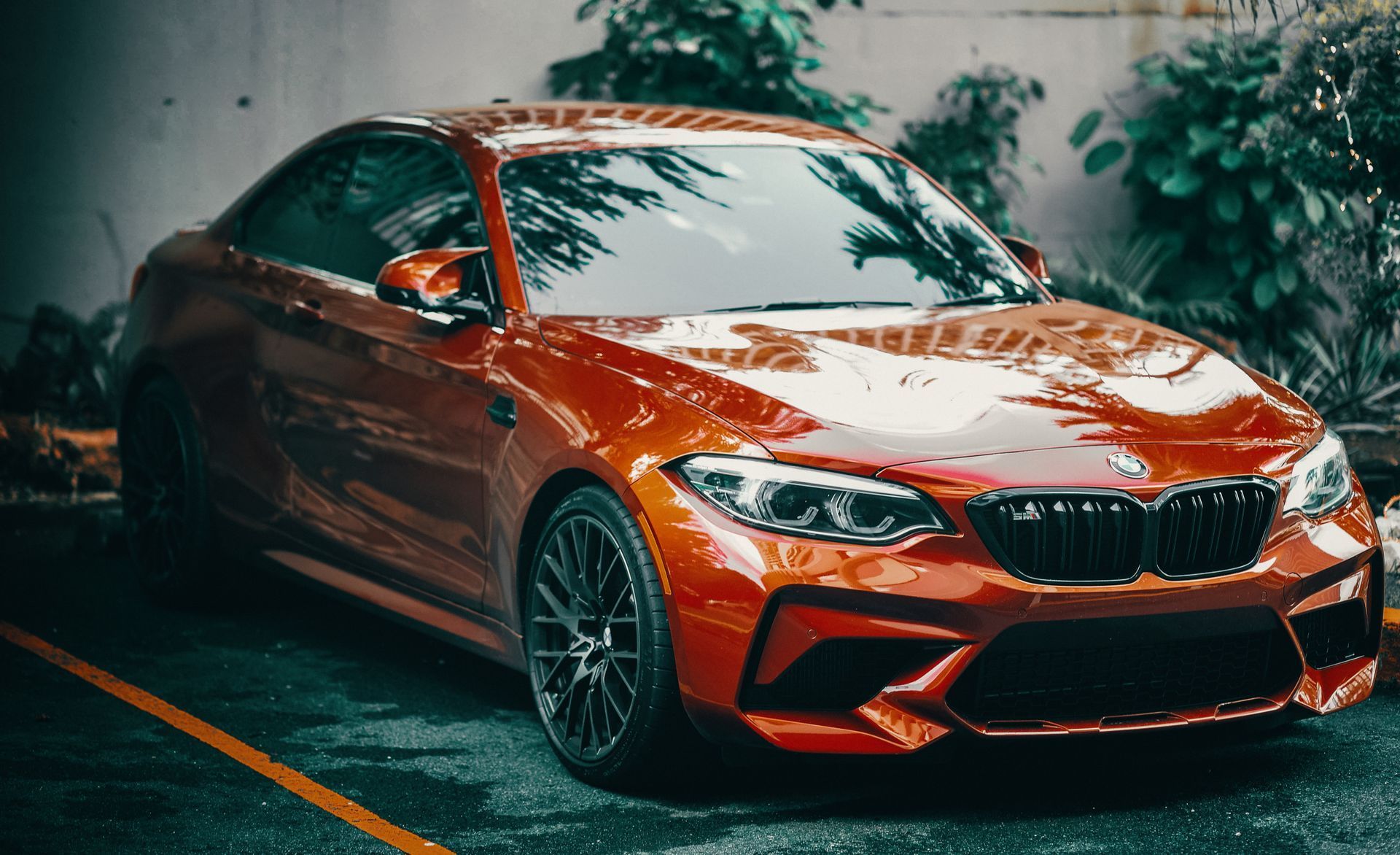 protect car paint from rock chips