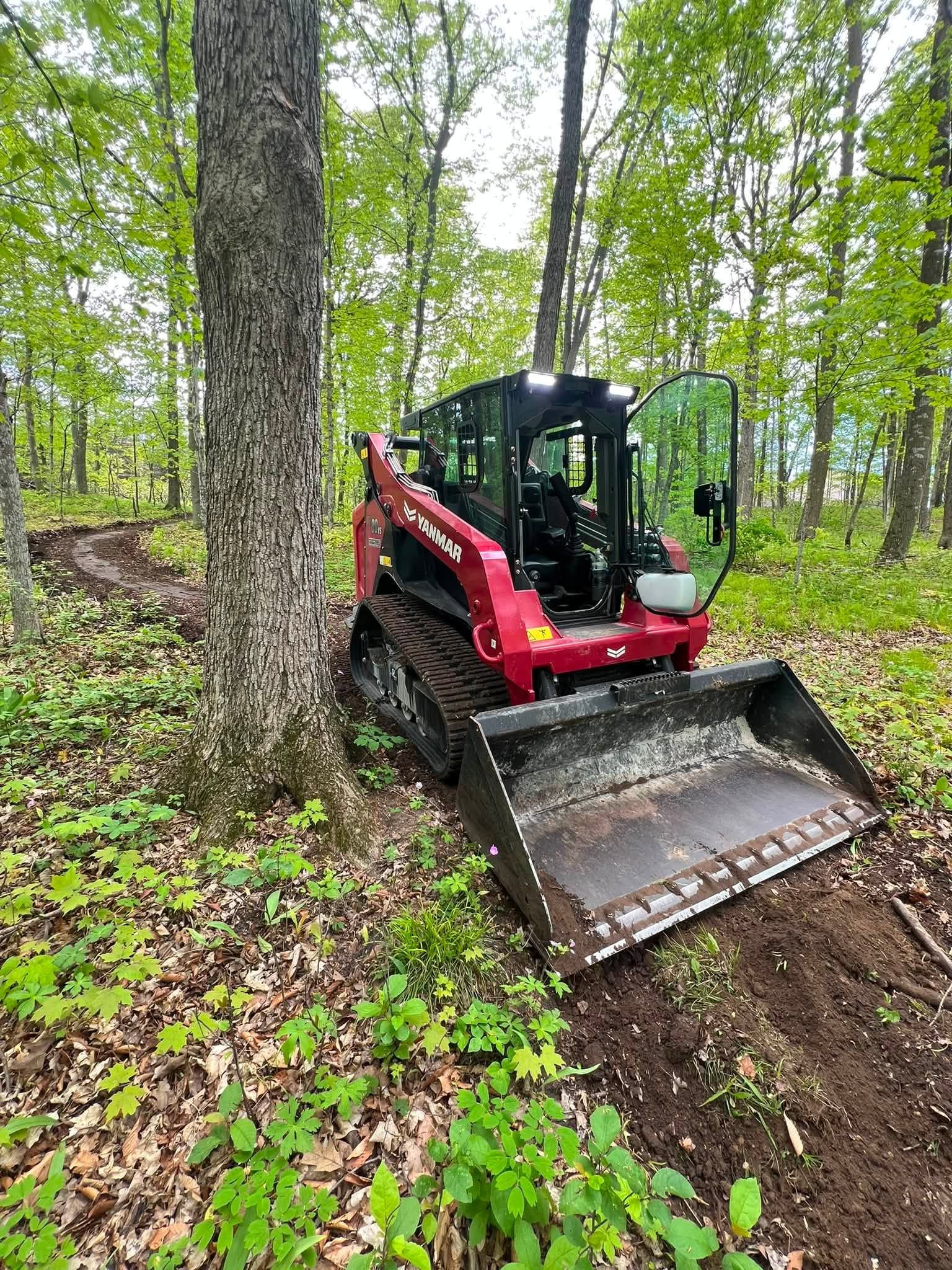 Red skid steer with bucket clearing soil in a leafy forest near a tree trunk