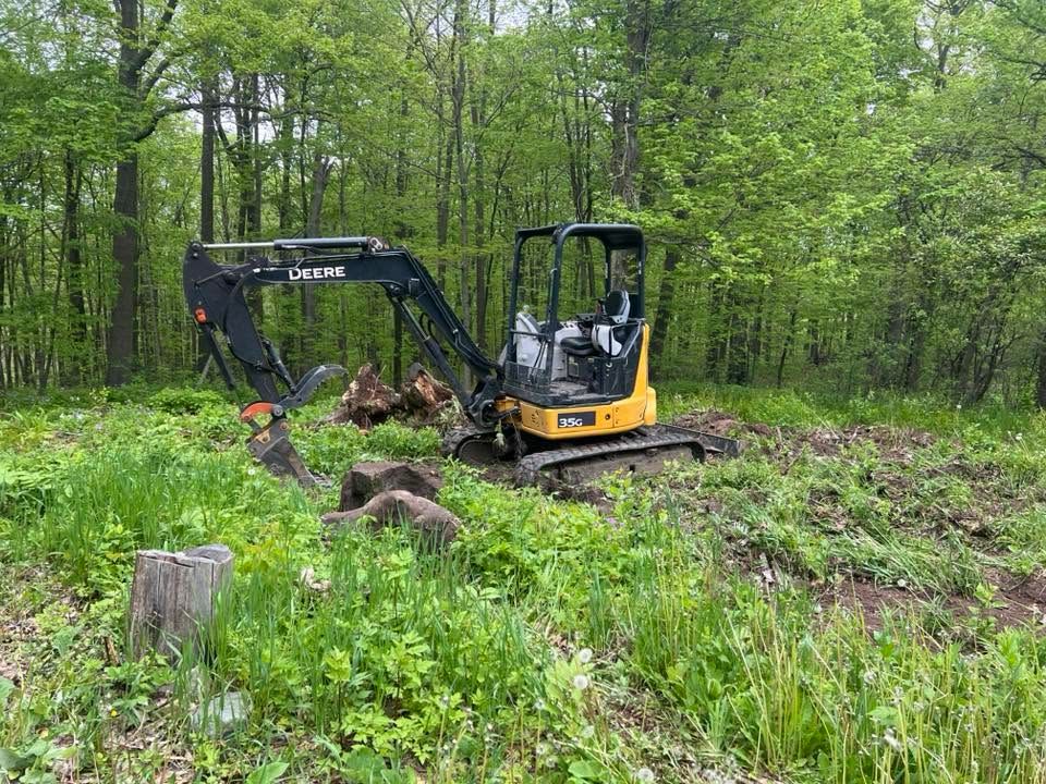 Yellow excavator clearing brush in a green forest clearing