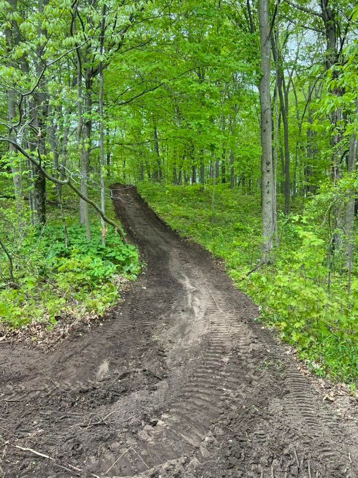 Fresh dirt trail winding through a green forest