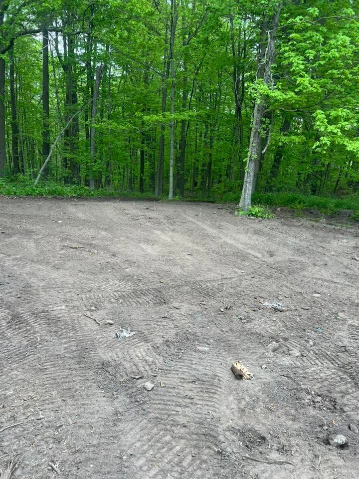 Gravel clearing beside a dense green forest with trees in the background