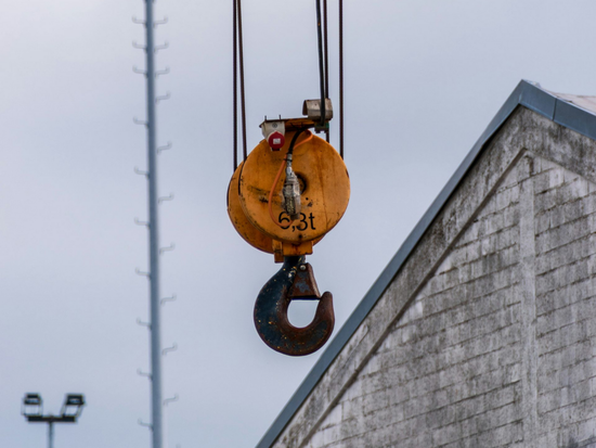 Crane hook