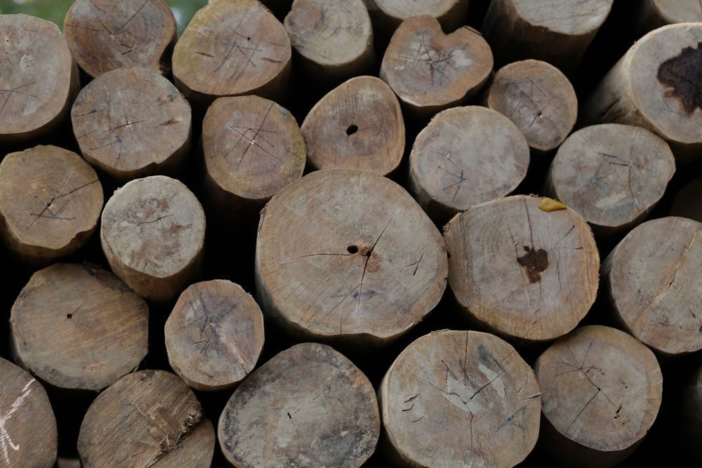 Bulk Firewood — Kongwak, VIC — Ross Chapman Cartage & Earthmoving Contractors
