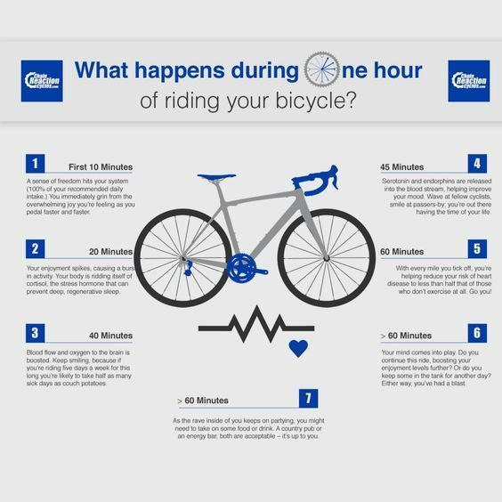 One Hour of Riding your Bicycle — Gladstone Bicycle Centre in Gladstone, QLD