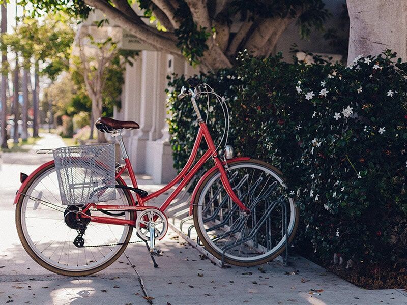 Bicycle For Woman — Gladstone Bicycle Centre in Gladstone, QLD