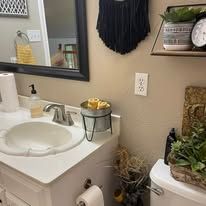 Bathroom vanity with sink, mirror, wall shelf, toilet paper, and small plants on a toilet tank.