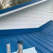 Blue roof with metal ladder and white siding on a house exterior