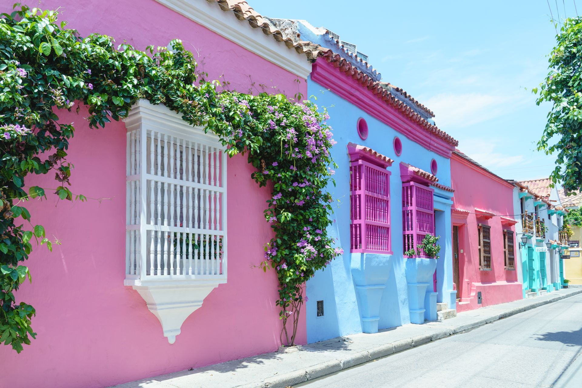 Colorful pink and blue row houses with white-trimmed windows and flowering vines along a sunny street
