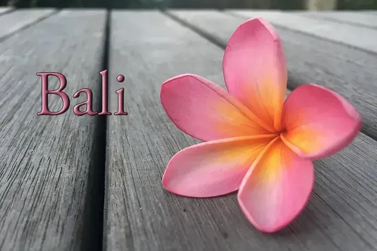 Pink plumeria flower on weathered wood with the word “Bali” in the background