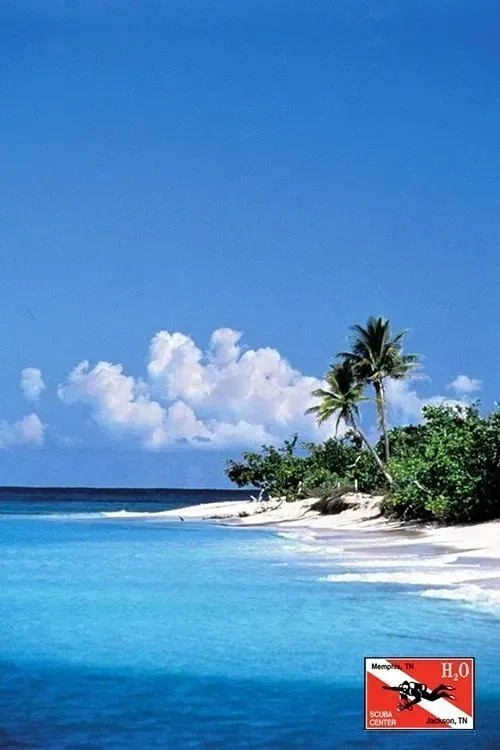Tropical beach with turquoise water, white sand, palm trees, and blue sky with clouds