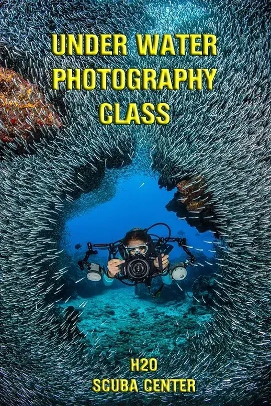 Underwater photography class poster with diver holding a camera amid colorful fish