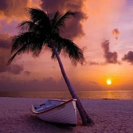 Sunset beach with a leaning palm tree and a small boat on the shore under pink-orange clouds