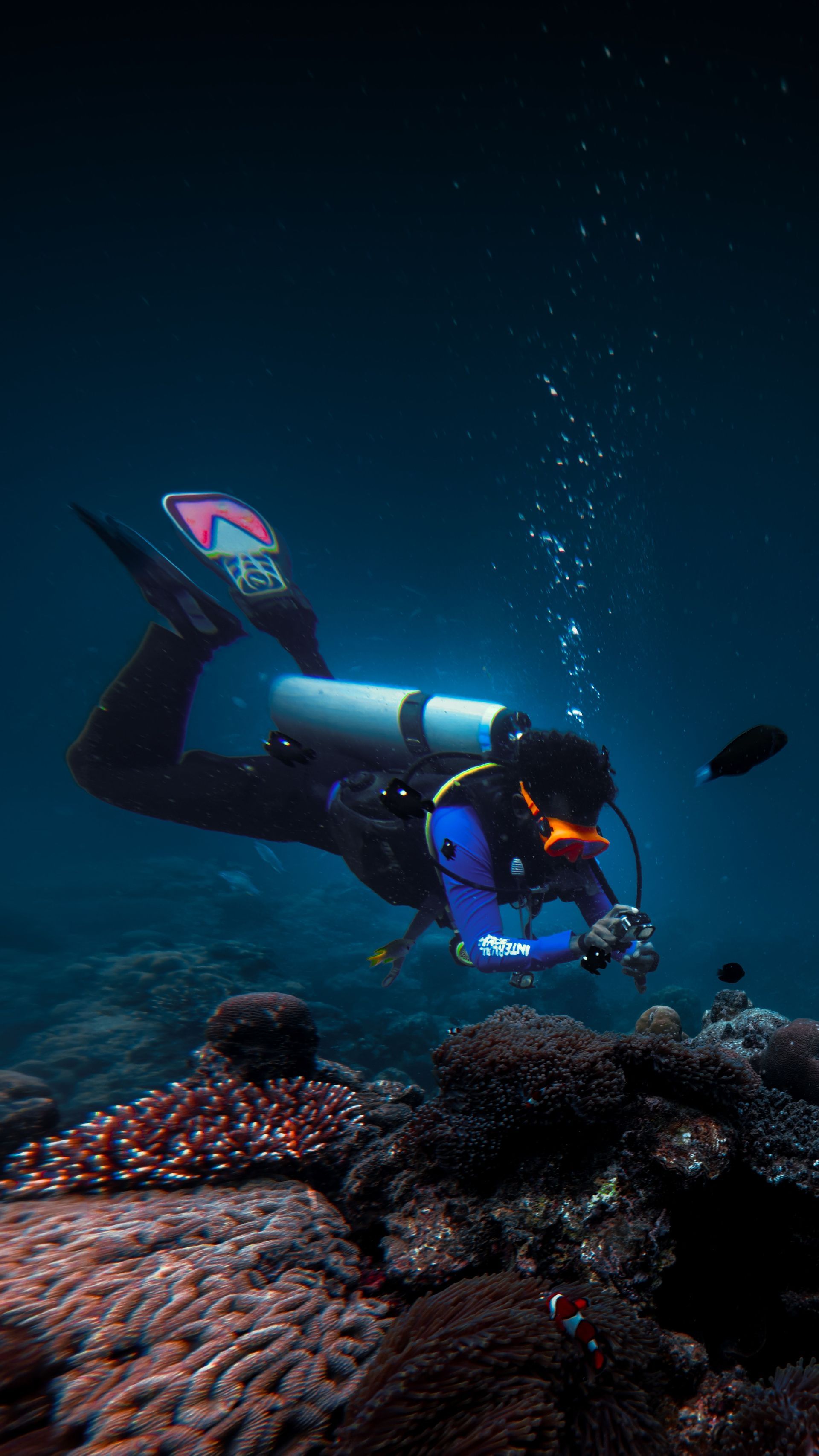 Scuba diver swims between colorful coral reefs in clear blue water