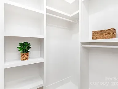 White walk-in closet with built-in shelves, a potted plant, and woven storage basket.