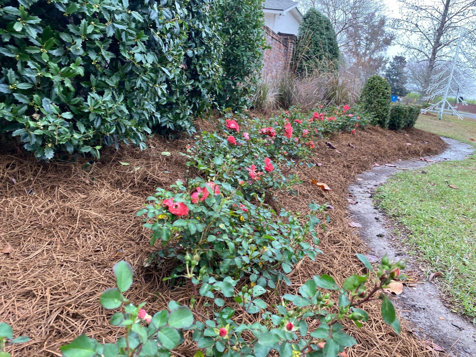 Landscape King Baton Rouge Landscape Design 2253042499