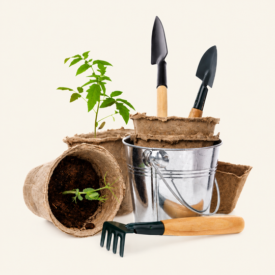 Gardening tools with seedlings in pots and a metal bucket on a light background.